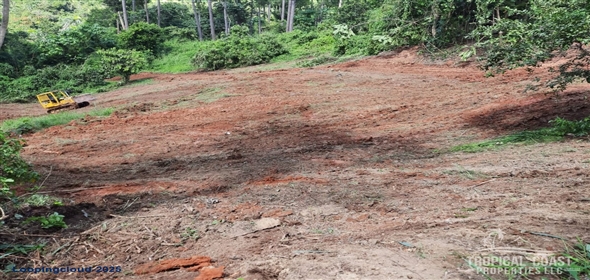 Bo. Naranjo Aguadilla Puerto Rico, 00676 | 53456, 3.07 acres of privacy, fertile soil, and flowing water