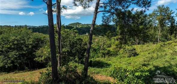 Bo. Naranjo Aguadilla Puerto Rico, 00676 | 53456, 3.07 acres of privacy, fertile soil, and flowing water