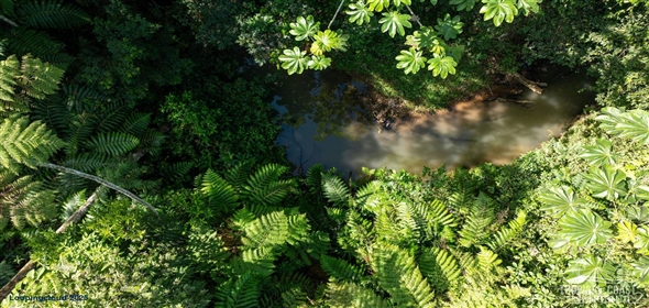 Bo. Naranjo Aguadilla Puerto Rico, 00676 | 53456, 3.07 acres of privacy, fertile soil, and flowing water