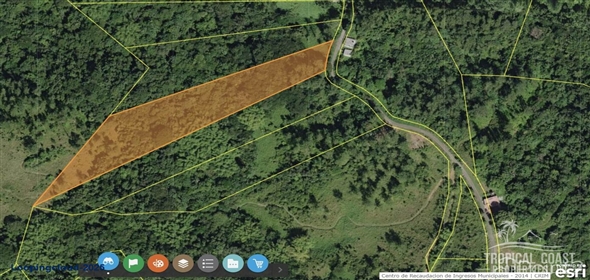 Bo. Naranjo Aguadilla Puerto Rico, 00676 | 53456, 3.07 acres of privacy, fertile soil, and flowing water