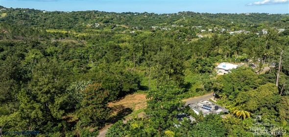 Bo. Naranjo Aguadilla Puerto Rico, 00676 | 53456, 3.07 acres of privacy, fertile soil, and flowing water