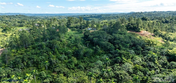 Bo. Naranjo Aguadilla Puerto Rico, 00676 | 53456, 3.07 acres of privacy, fertile soil, and flowing water