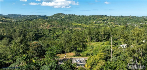 Bo. Naranjo Aguadilla Puerto Rico, 00676 | 53456, 3.07 acres of privacy, fertile soil, and flowing water