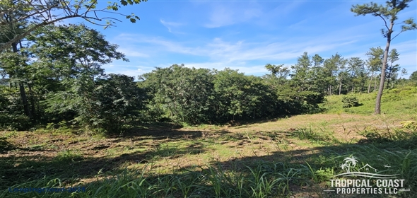 Bo. Naranjo Aguadilla Puerto Rico, 00676 | 53456, 3.07 acres of privacy, fertile soil, and flowing water