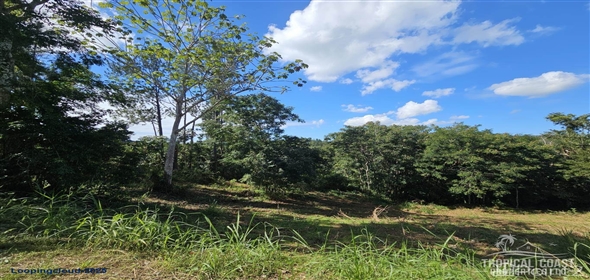 Bo. Naranjo Aguadilla Puerto Rico, 00676 | 53456, 3.07 acres of privacy, fertile soil, and flowing water