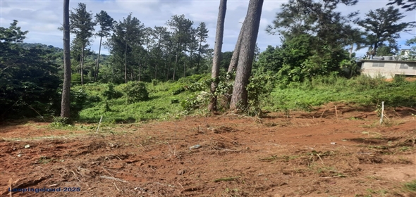 Bo. Naranjo Aguadilla Puerto Rico, 00676 | 53456, 3.07 acres of privacy, fertile soil, and flowing water