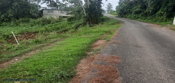 Bo. Naranjo Aguadilla Puerto Rico, 00676 | 53456, 3.07 acres of privacy, fertile soil, and flowing water