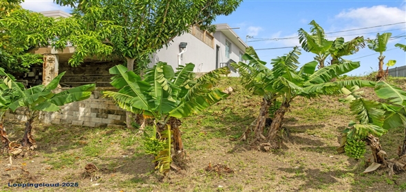 CARR 413 KM 5.3 INT SECTOR TIRADO SANCHEZ, Bo Puntas Rincon Puerto Rico, 00677 | 61409, Embrace Paradise: Your Dream Home in Puntas Awaits