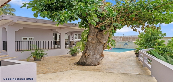 CARR 413 KM 5.3 INT SECTOR TIRADO SANCHEZ, Bo Puntas Rincon Puerto Rico, 00677 | 61409, Embrace Paradise: Your Dream Home in Puntas Awaits