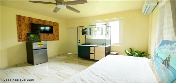 Bo Calvache- Carr 411 KM HM 0.2 Sector Los Pozos Rincon Puerto Rico, 00677 | 61902, 10 minutes from the beach and town, with electricity and water included.