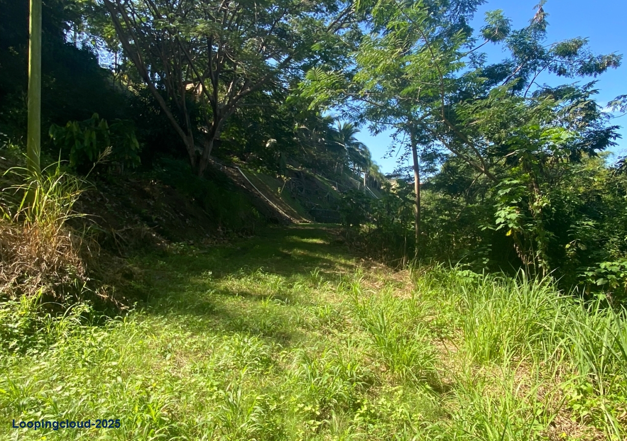 Commercial Property for Sale in Rincon Puerto Rico 00677