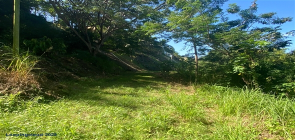 Bo. Calvache-Carr 115 KM 8 H6 Rincon Puerto Rico, 00677 | 48426, 2.6 Acres in Calvache