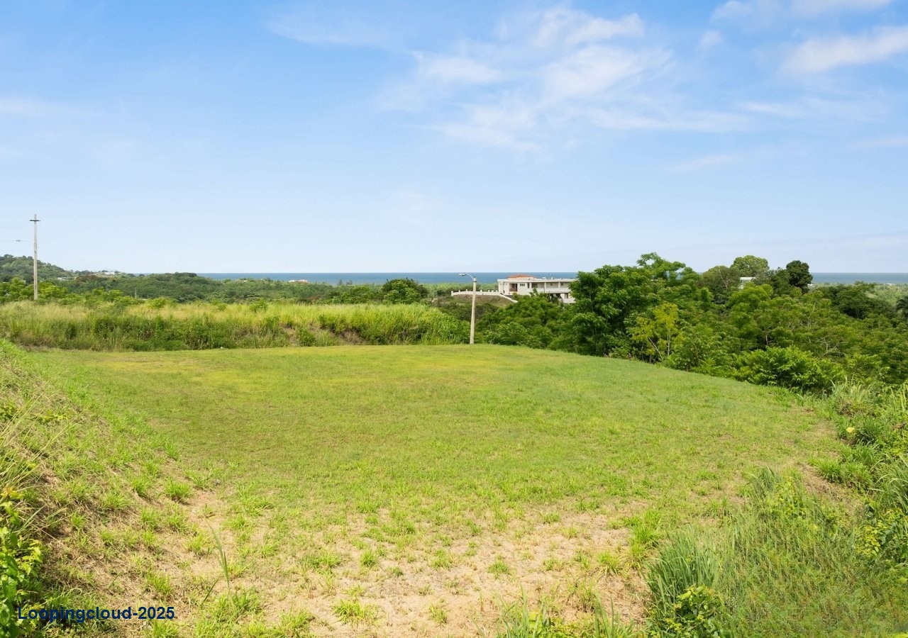 60879, 845 Square Meters of Potential in Bo Calvache Rincon