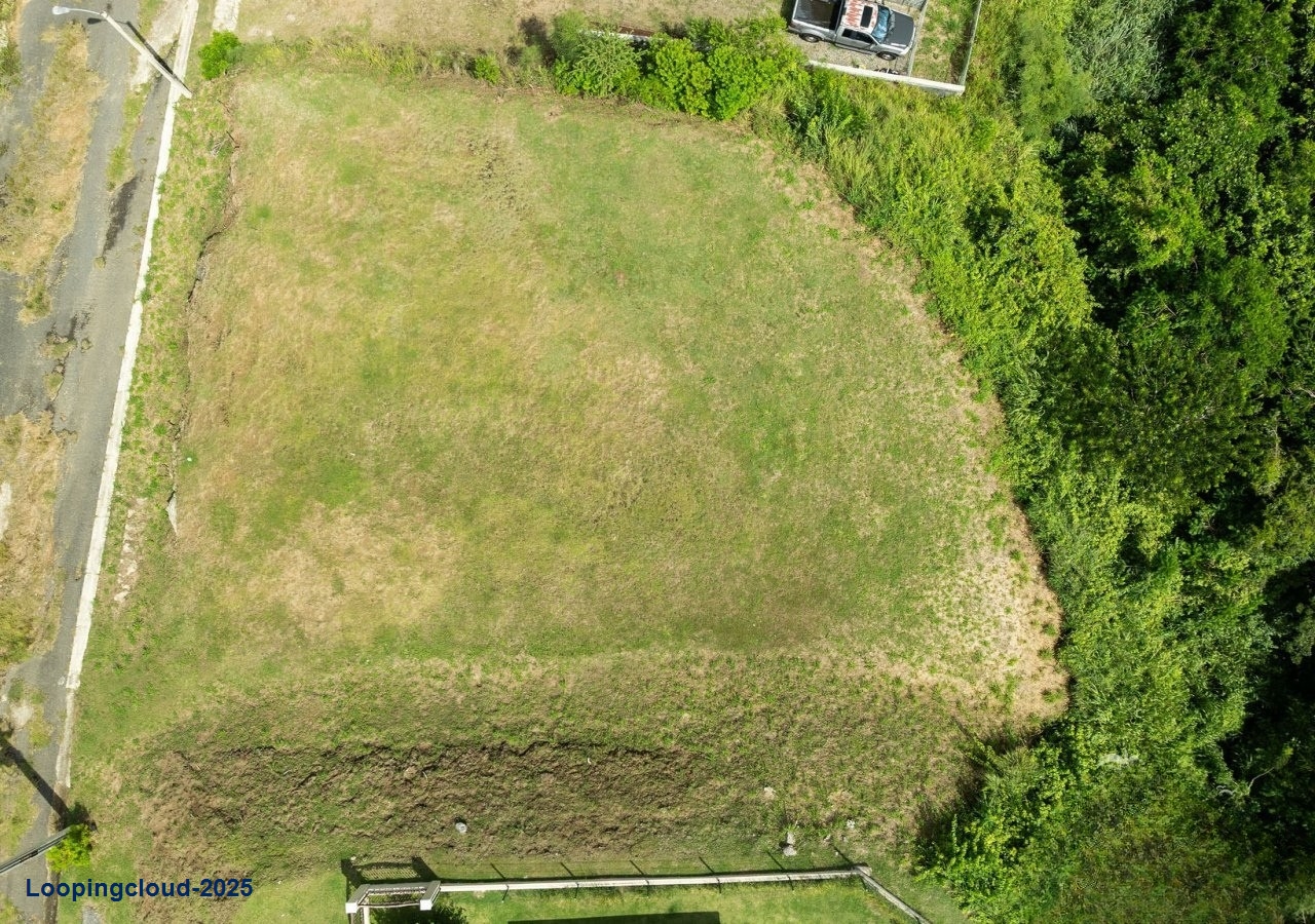 60879, 845 Square Meters of Potential in Bo Calvache Rincon