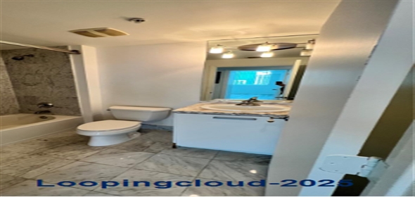 244 Biscayne Blvd # 2609 Miami Florida, 33132 | Beautiful Condo