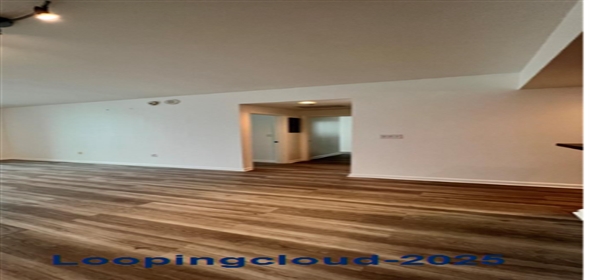 244 Biscayne Blvd # 2609 Miami Florida, 33132 | Beautiful Condo