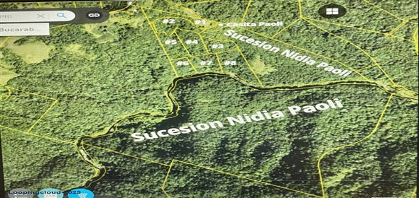PR-124, BUCARABONES WARD Las Marías Puerto Rico, 00670 | Commercial/Retail - For Sale - Las Marias, Las Marías, Puerto Rico