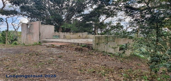 PR-124, BUCARABONES WARD Las Marías Puerto Rico, 00670 | Commercial/Retail - For Sale - Las Marias, Las Marías, Puerto Rico