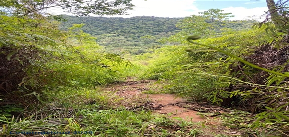 PR-124, BUCARABONES WARD Las Marías Puerto Rico, 00670 | Commercial/Retail - For Sale - Las Marias, Las Marías, Puerto Rico