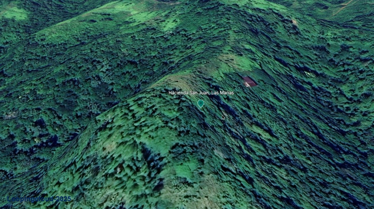 Retail Property for Sale in BUCARABONES WARD Puerto Rico 00670