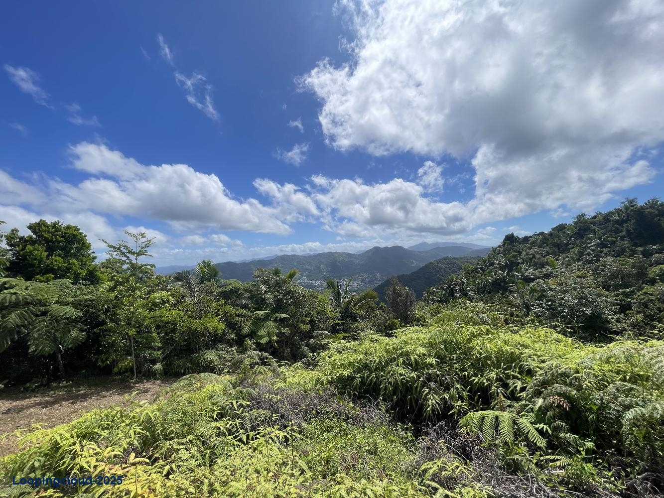 Land for Sale in Aguadilla Puerto Rico 00601