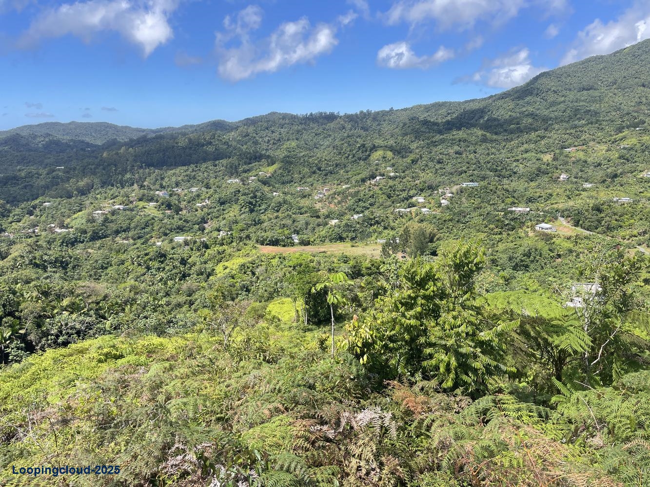 Land for Sale in Aguadilla Puerto Rico 00601