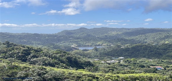 Carretera 518 Aguadilla Puerto Rico, 00601 | 230 Acres farmland, several streams
