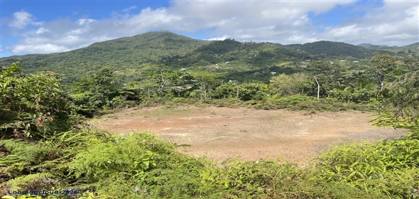 Carretera 518 Aguadilla Puerto Rico, 00601 | 230 Acres farmland, several streams
