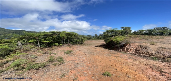 Carretera 518 Aguadilla Puerto Rico, 00601 | 230 Acres farmland, several streams