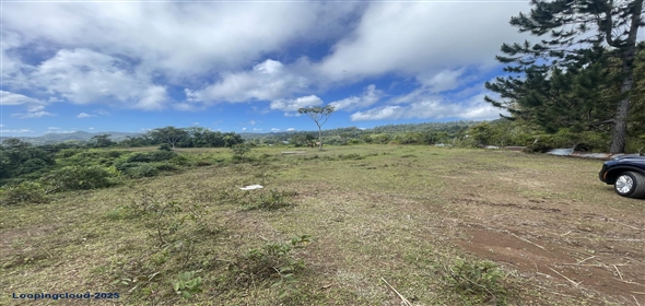 Carretera 518 Aguadilla Puerto Rico, 00601 | 230 Acres farmland, several streams