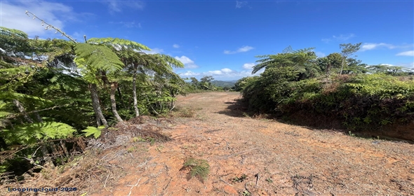 Carretera 518 Aguadilla Puerto Rico, 00601 | 230 Acres farmland, several streams