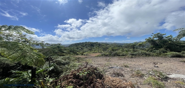 Carretera 518 Aguadilla Puerto Rico, 00601 | 230 Acres farmland, several streams