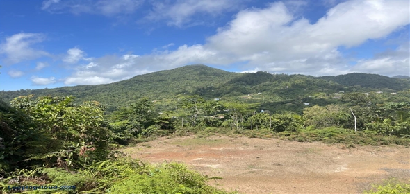 Carretera 518 Aguadilla Puerto Rico, 00601 | 230 Acres farmland, several streams
