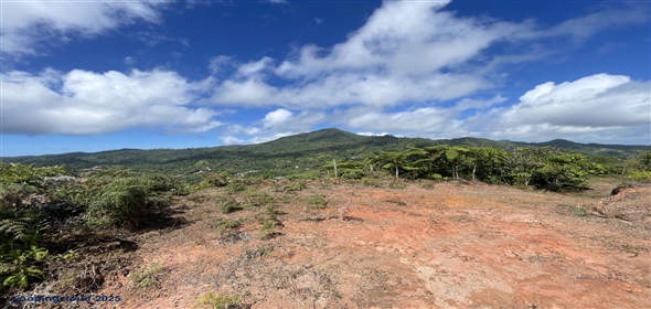 Carretera 518 Aguadilla Puerto Rico, 00601 | 230 Acres farmland, several streams