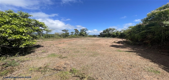 Carretera 518 Aguadilla Puerto Rico, 00601 | 230 Acres farmland, several streams