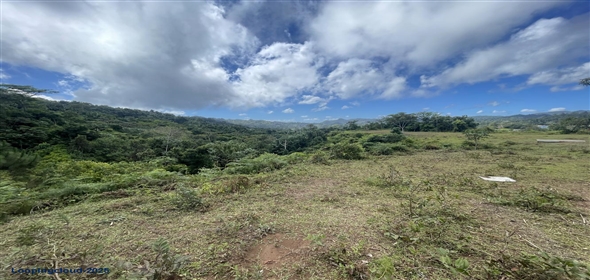 Carretera 518 Aguadilla Puerto Rico, 00601 | 230 Acres farmland, several streams