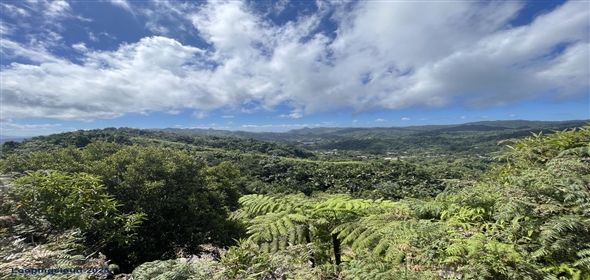 Carretera 518 Aguadilla Puerto Rico, 00601 | 230 Acres farmland, several streams