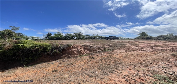 Carretera 518 Aguadilla Puerto Rico, 00601 | 230 Acres farmland, several streams