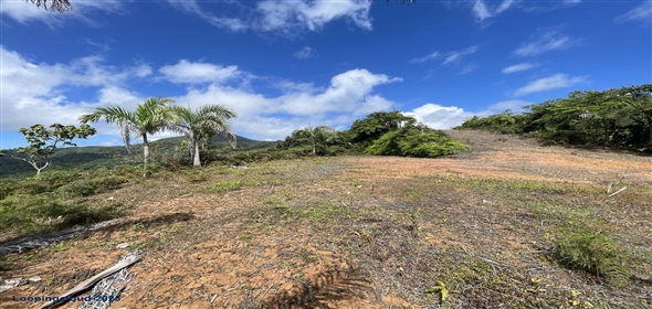 Carretera 518 Aguadilla Puerto Rico, 00601 | 230 Acres farmland, several streams