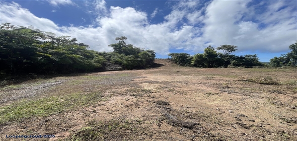 Carretera 518 Aguadilla Puerto Rico, 00601 | 230 Acres farmland, several streams