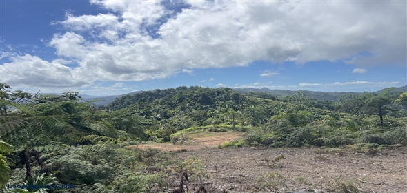 Carretera 518 Aguadilla Puerto Rico, 00601 | 230 Acres farmland, several streams