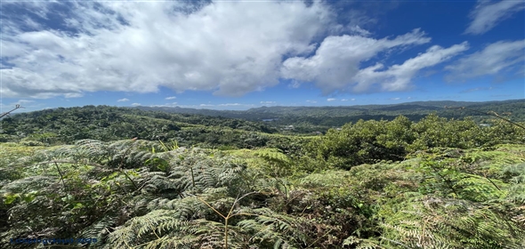 Carretera 518 Aguadilla Puerto Rico, 00601 | 230 Acres farmland, several streams