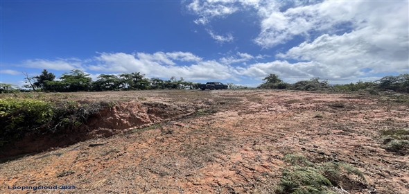 Carretera 518 Aguadilla Puerto Rico, 00601 | 230 Acres farmland, several streams