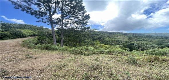 Carretera 518 Aguadilla Puerto Rico, 00601 | 230 Acres farmland, several streams
