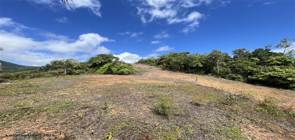 Carretera 518 Aguadilla Puerto Rico, 00601 | 230 Acres farmland, several streams