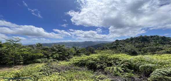 Carretera 518 Aguadilla Puerto Rico, 00601 | 230 Acres farmland, several streams