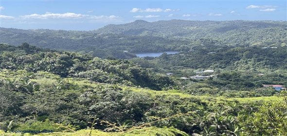 Carretera 518 Aguadilla Puerto Rico, 00601 | 230 Acres farmland, several streams