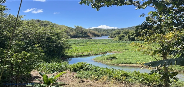 Carretera 518 Aguadilla Puerto Rico, 00601 | 230 Acres farmland, several streams