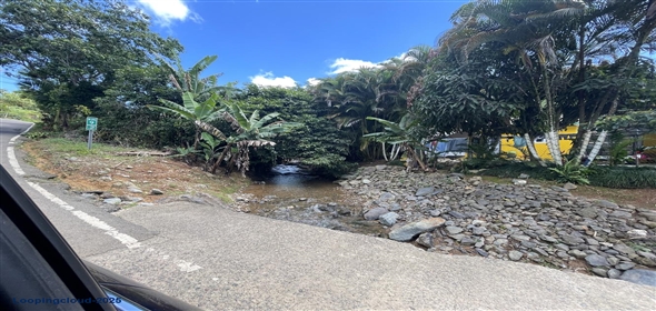 Carretera 518 Aguadilla Puerto Rico, 00601 | 230 Acres farmland, several streams