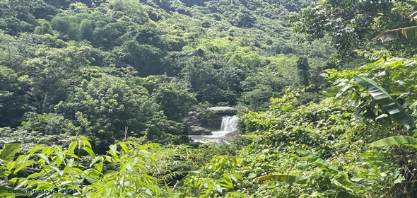 Carretera 518 Aguadilla Puerto Rico, 00601 | 230 Acres farmland, several streams